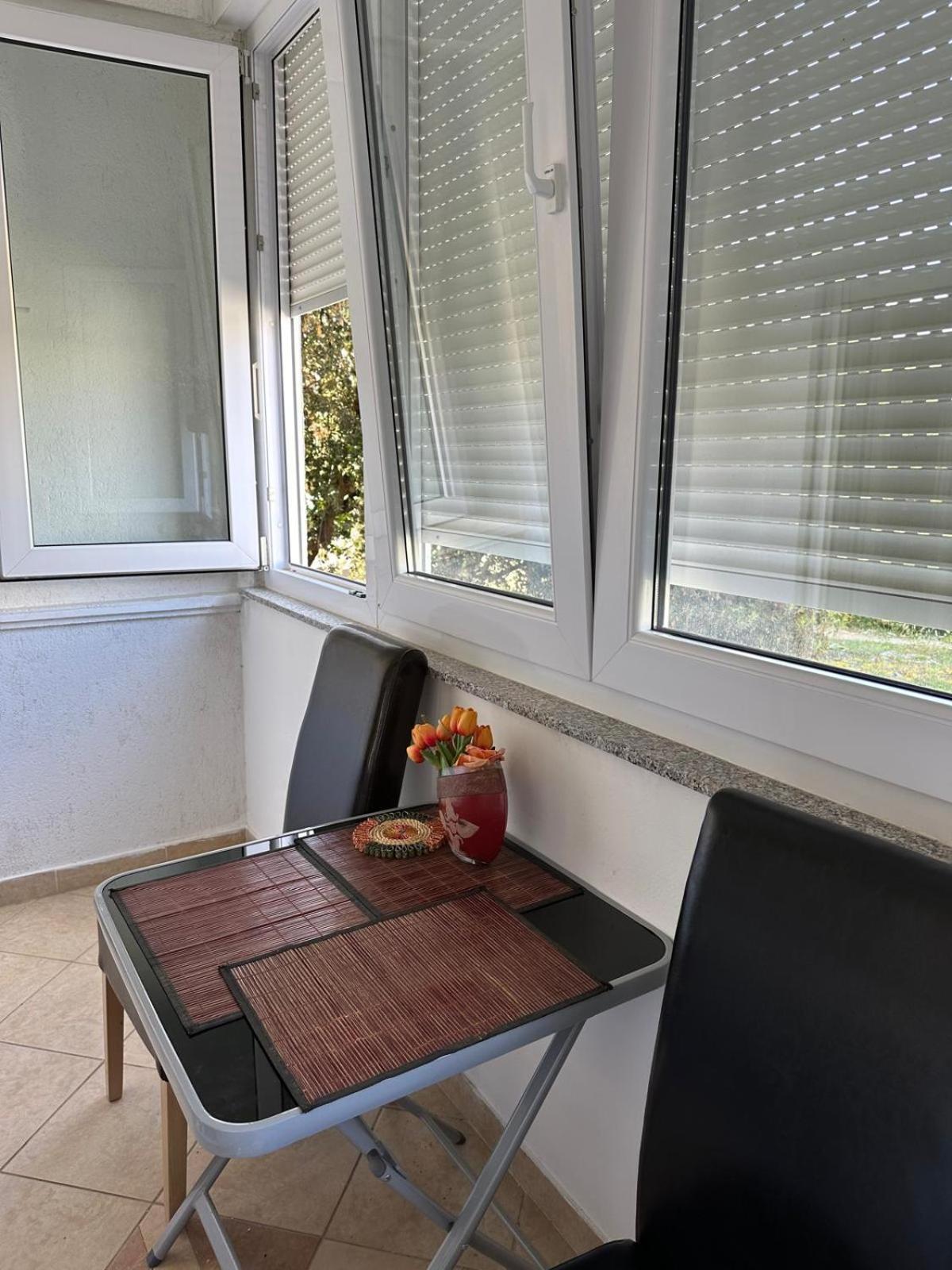 Apartmani Andelo, Tommy, Leon Bibinje Exterior photo
